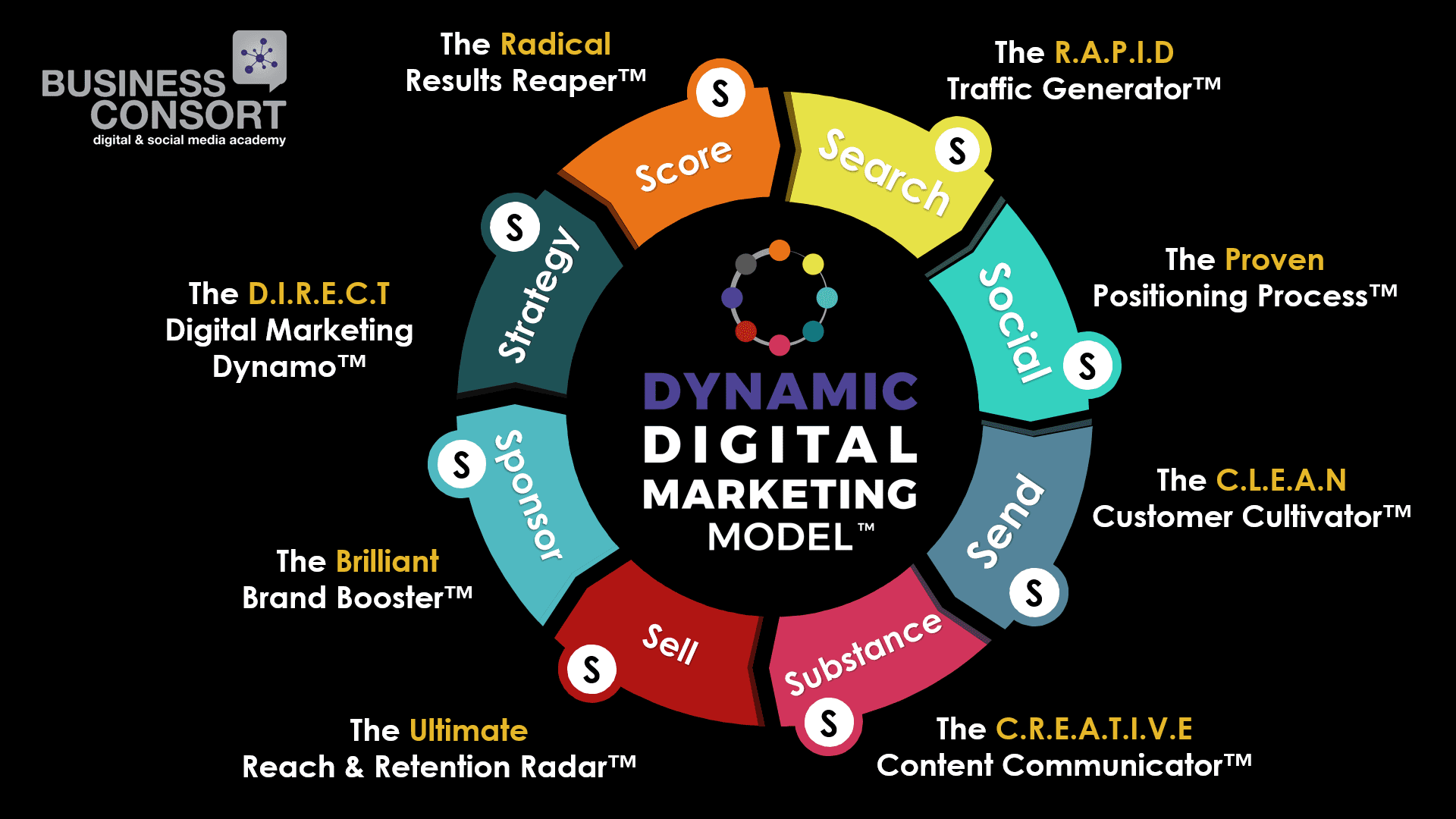 dynamic digital marketing model on black